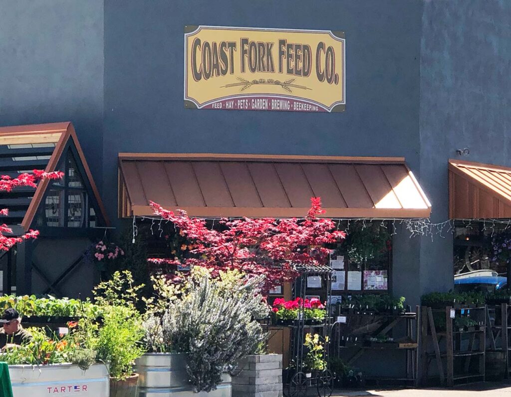 Coast Fork Storefront
