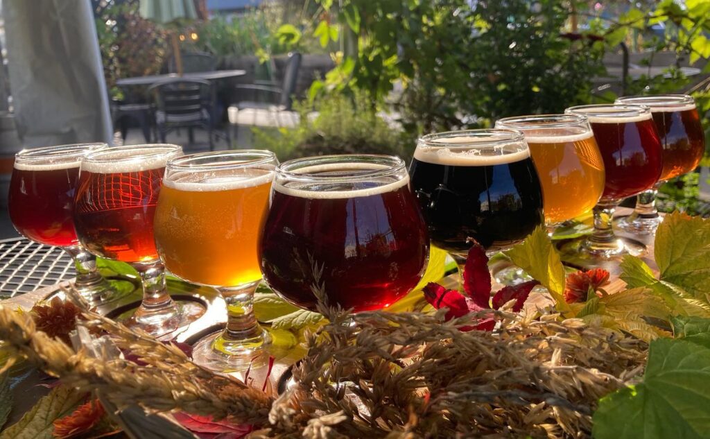 autumn-beer-tasters